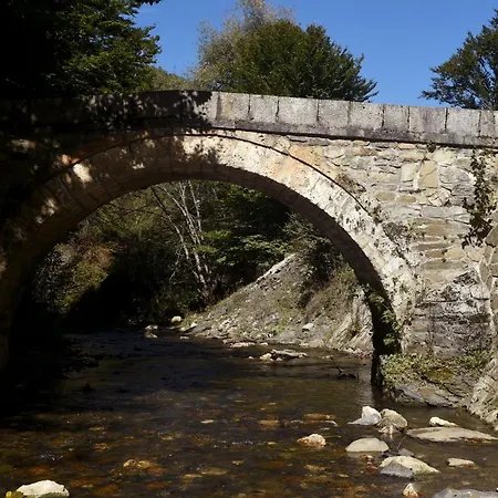 Appartement Rimski *