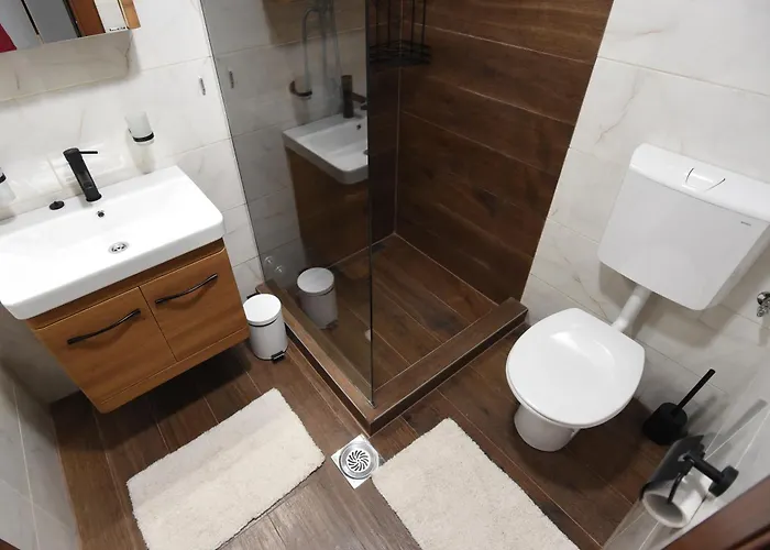 公寓 Rimski 伊万尼察