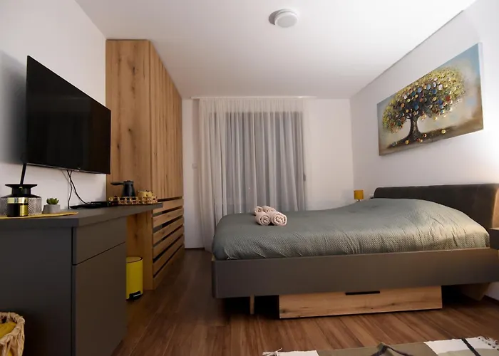 Rimski * 伊万尼察