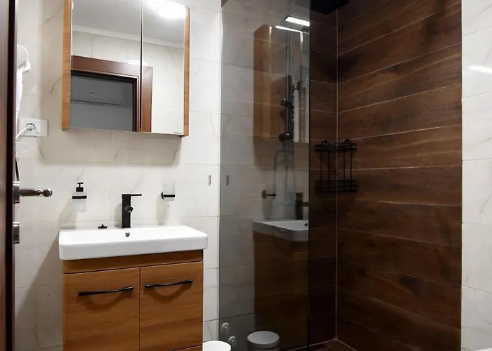 公寓 Rimski 伊万尼察