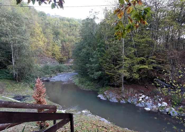 Rimski 公寓 伊万尼察